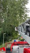 20250615SturmschadenKapellenkampDH2