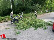 20250615SturmschadenKapellenkampDH5