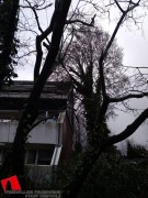 20200210SturmschadenSchlossstrDH