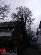 20200210SturmschadenSchlossstrDH2