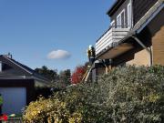 IMG20201016122148